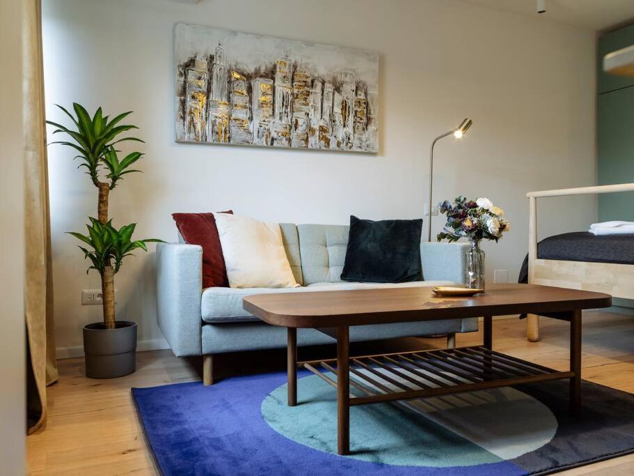 Sunny Modern - Cismigiu Park & Old Town Apartment
