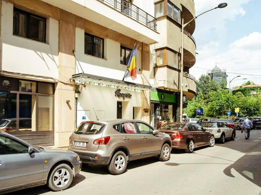 Sunny Modern - Cismigiu Park & Old Town Bucharest