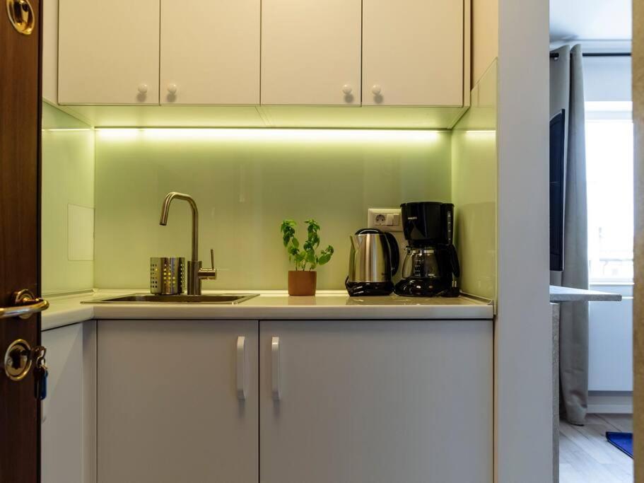 Apartment Sunny Modern - Cismigiu Park & Old Town Bucharest