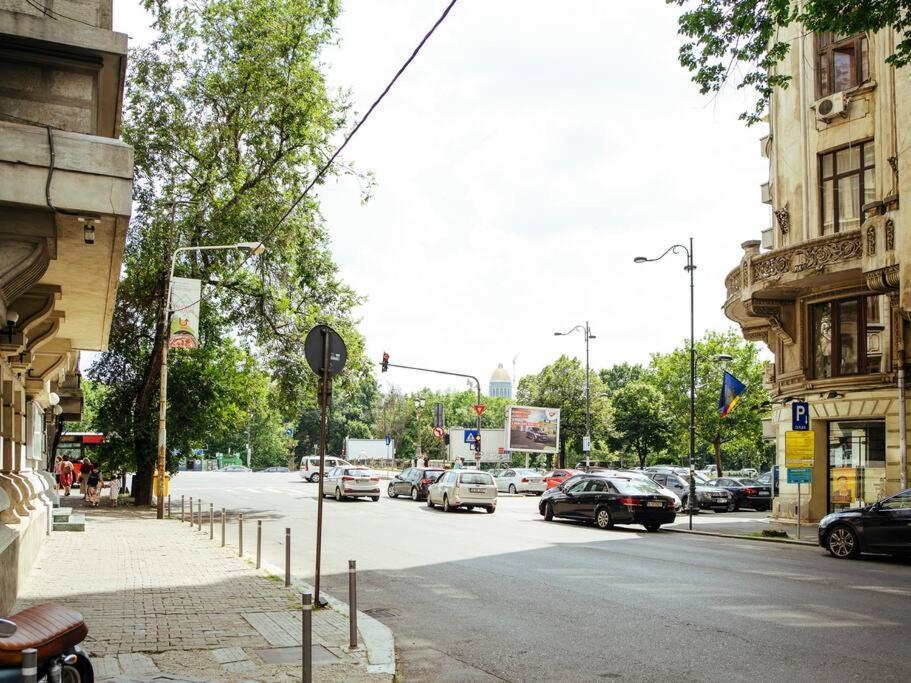 Apartment Sunny Modern - Cismigiu Park & Old Town Bucharest