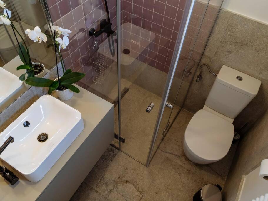 Apartment Sunny Modern - Cismigiu Park & Old Town Bucharest